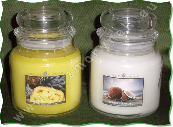 GC51: Exhilarating Pineapple (450g), Soothing Coconut (450g)-VYPRODÁNO